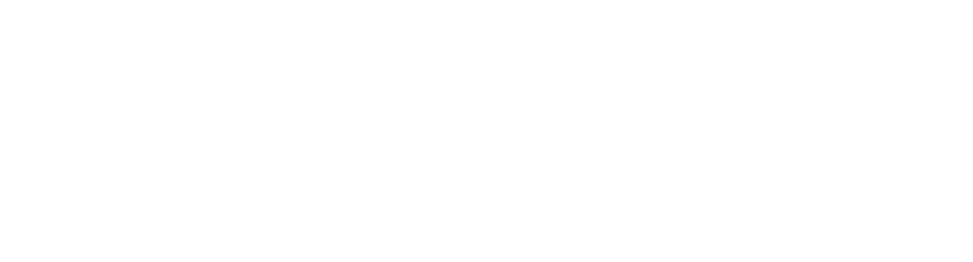 Bioverse Dark Logo