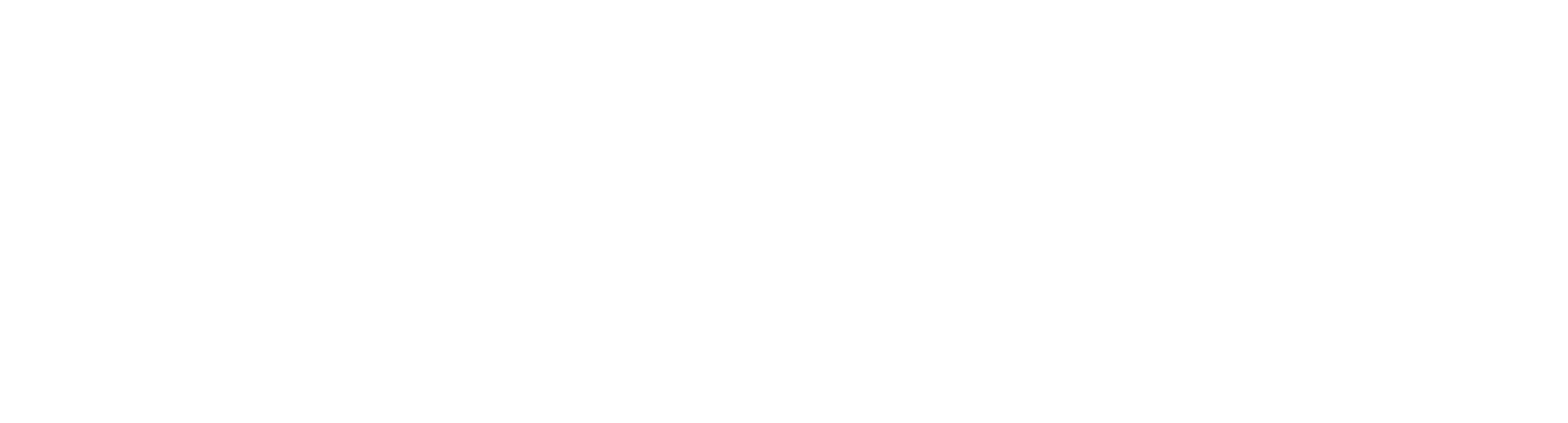 Bioverse Dark Logo